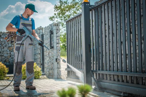 Best Driveway Pressure Washing  in Palm Valley, FL