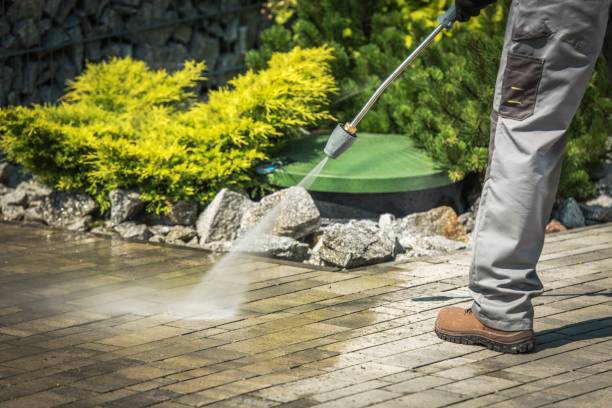 Trusted Palm Valley, FL Pressure Washing Services Experts