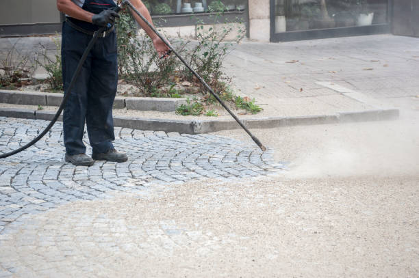 Best Patio and Deck Pressure Washing  in Palm Valley, FL